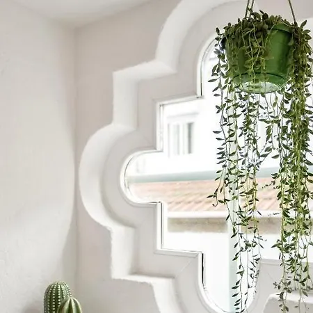 Host Wise - Lovely Shinny Flats With Balcony - Clerigos *